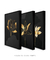 Trio Black Flower - Artes Nova Era - Quadros Decorativos