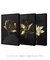 Trio Black Flower - Artes Nova Era - Quadros Decorativos