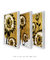 Trio Black n' Gold Daisy - Artes Nova Era - Quadros Decorativos