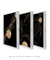 Trio Smooth Curves - loja online