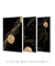 Trio Smooth Curves