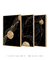 Trio Smooth Curves - comprar online