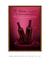 Vinho é Como Encarnação - comprar online