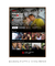 Quadro Personalizado Netflix Vertical II - Artes Nova Era - Quadros Decorativos