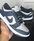 NIKE DUNK LOW AZUL EDIÇÃO ESPECIAL