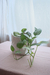 CONTENEDOR TUTI BLANCO - comprar online