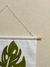 BANDERÍN MONSTERA MEDIANO - tienda online