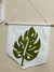 BANDERÍN MONSTERA MEDIANO - comprar online