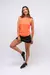 Musculosa Tafel