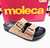 Birken Moleca