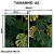 Kit 2 Quadros Decorativos - Monstera Tropical - Damuvia - Quadros Decorativos com Moldura Filete
