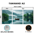 Kit 3 Quadros Decorativos - Coleção {Navigating Silences} #03 - comprar online