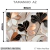 Quadro Decorativo - Coleção {Petals Royalty} #13 na internet