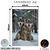 Quadro Decorativo - Coleção {Winter Wolves} #08 - loja online