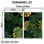 Kit 2 Quadros Decorativos - Monstera Tropical - comprar online