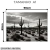 Imagem do Quadro Decorativo - Deserto de Cactos em P&B