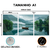 Kit 3 Quadros Decorativos - Coleção {Navigating Silences} #03 - Damuvia - Quadros Decorativos com Moldura Filete
