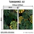 Kit 2 Quadros Decorativos - Monstera Tropical na internet
