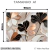 Quadro Decorativo - Coleção {Petals Royalty} #13 - loja online