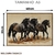 Quadro Decorativo - Cavalos em Foco