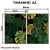 Kit 2 Quadros Decorativos - Monstera Tropical - Damuvia - Quadros Decorativos com Moldura Filete