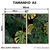 Kit 2 Quadros Decorativos - Monstera Tropical - loja online