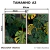 Kit 2 Quadros Decorativos - Monstera Tropical - loja online
