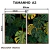 Imagem do Kit 2 Quadros Decorativos - Monstera Tropical