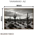 Quadro Decorativo - Deserto de Cactos em P&B - Damuvia - Quadros Decorativos com Moldura Filete