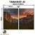 Kit 2 Quadros Decorativos - Vale Dourado ao Entardecer na internet