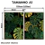 Kit 2 Quadros Decorativos - Monstera Tropical - comprar online