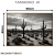 Imagem do Quadro Decorativo - Deserto de Cactos em P&B