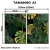 Kit 2 Quadros Decorativos - Monstera Tropical na internet