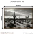 Quadro Decorativo - Deserto de Cactos em P&B