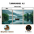 Kit 3 Quadros Decorativos - Coleção {Navigating Silences} #03 - Damuvia - Quadros Decorativos com Moldura Filete