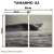 Kit 2 Quadros Decorativos - Coleção {Eternal Waves} #15 - Damuvia - Quadros Decorativos com Moldura Filete