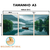 Kit 3 Quadros Decorativos - Coleção {Navigating Silences} #03 - loja online