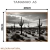 Quadro Decorativo - Deserto de Cactos em P&B - comprar online