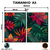 Imagem do Kit 2 Quadros Decorativos - Folhagem Viva e Vibrante