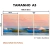 Imagem do Kit 3 Quadros Decorativos - Coleção {Seaside Meditation} #10