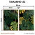 Kit 2 Quadros Decorativos - Monstera Tropical - loja online