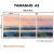 Imagem do Kit 3 Quadros Decorativos - Coleção {Seaside Meditation} #09