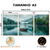 Imagem do Kit 3 Quadros Decorativos - Coleção {Navigating Silences} #07