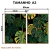 Imagem do Kit 2 Quadros Decorativos - Monstera Tropical