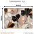 Quadro Decorativo - Coleção {Petals Royalty} #13 na internet