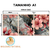 Kit 3 Quadros Decorativos - Pétalas de Mármore na internet