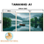 Kit 3 Quadros Decorativos - Coleção {Navigating Silences} #03 na internet