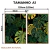 Kit 2 Quadros Decorativos - Monstera Tropical - comprar online
