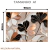Quadro Decorativo - Coleção {Petals Royalty} #13 - Damuvia - Quadros Decorativos com Moldura Filete