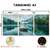 Kit 3 Quadros Decorativos - Coleção {Navigating Silences} #07 - Damuvia - Quadros Decorativos com Moldura Filete